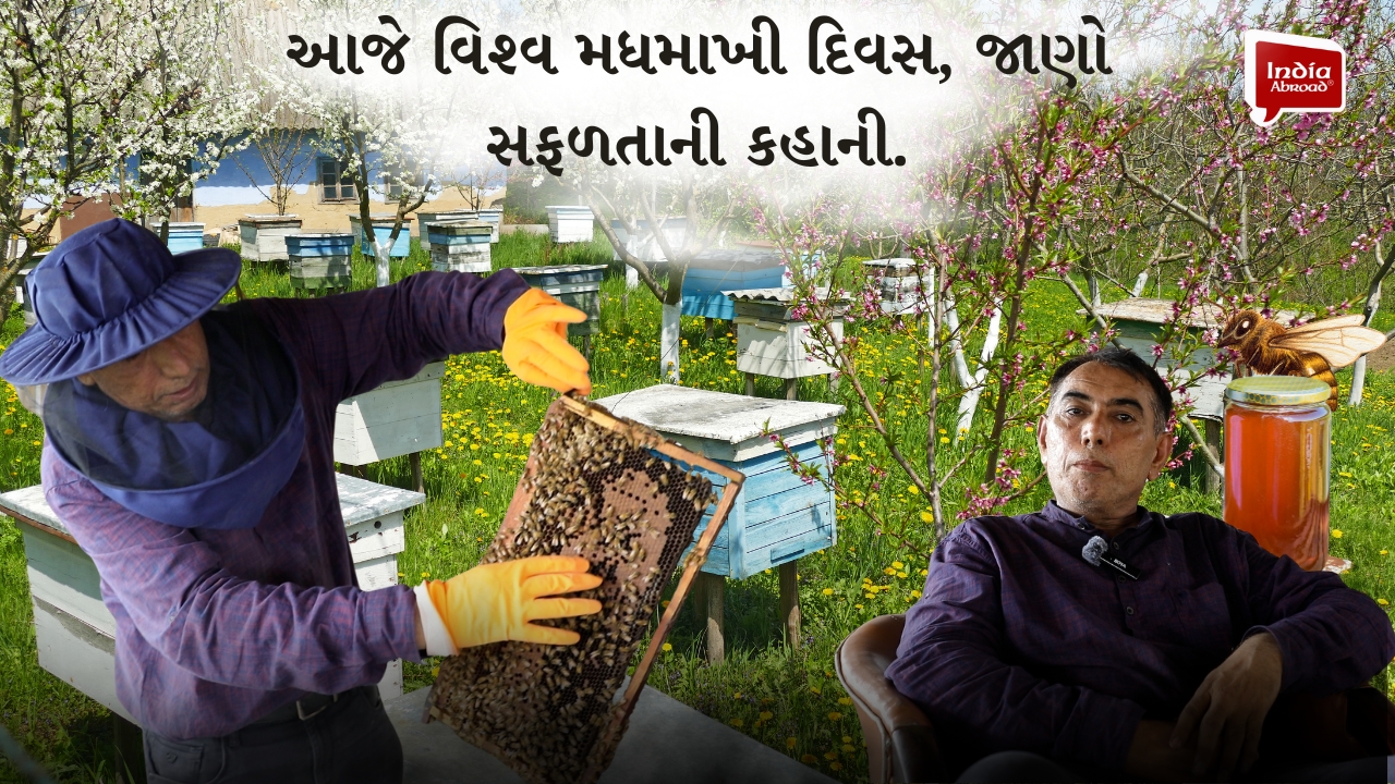સુરતના યુવકની મધમાખી ઉછેર કેન્દ્રની સફળ કહાની, જુઓ.